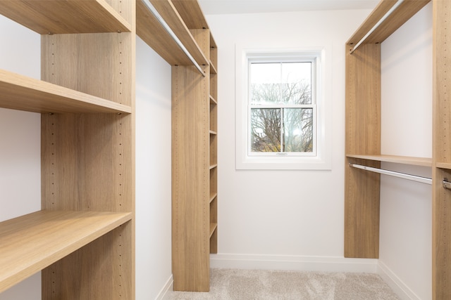 spacious closet featuring light carpet