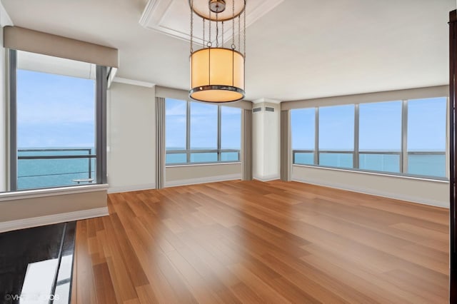 empty room with hardwood / wood-style flooring, a wealth of natural light, and a water view