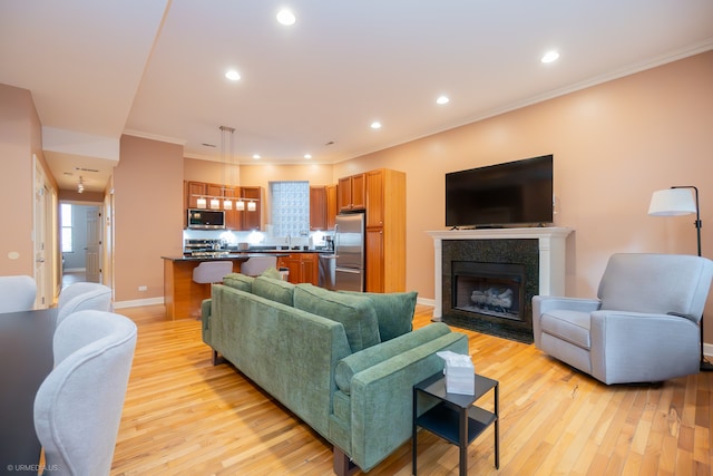 living room with sink, crown molding, and light hardwood / wood-style floors