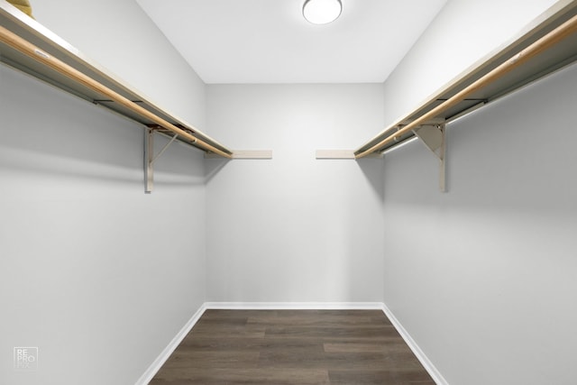 spacious closet with dark wood-type flooring