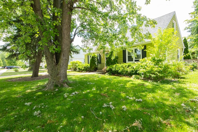 view of property hidden behind natural elements with a front lawn