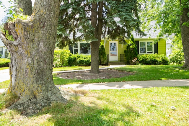 view of property hidden behind natural elements with a front yard