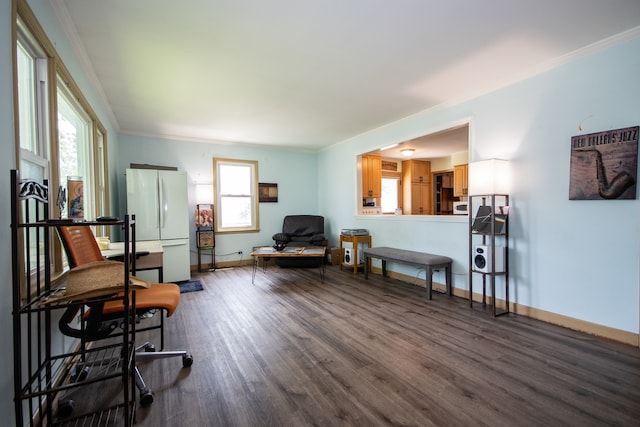 living area with hardwood / wood-style floors, ornamental molding, and plenty of natural light