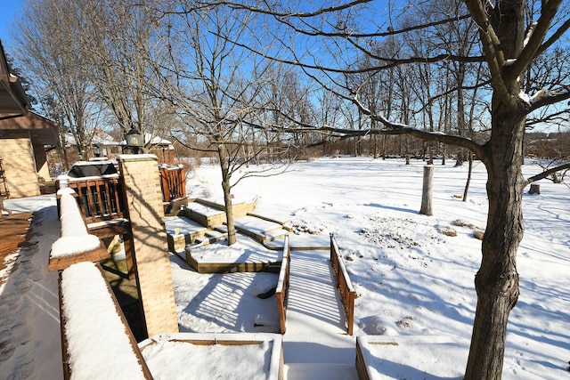 view of yard covered in snow