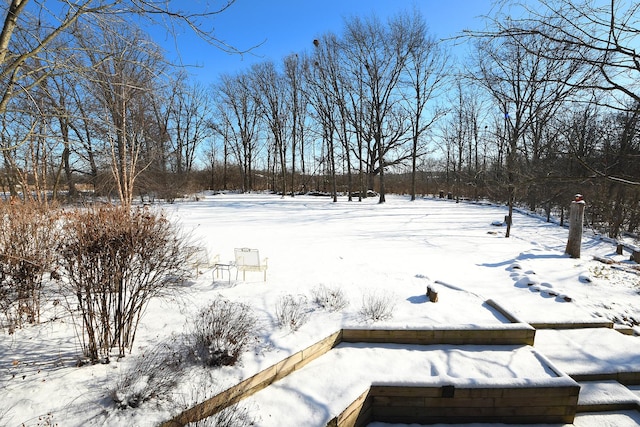 view of yard layered in snow