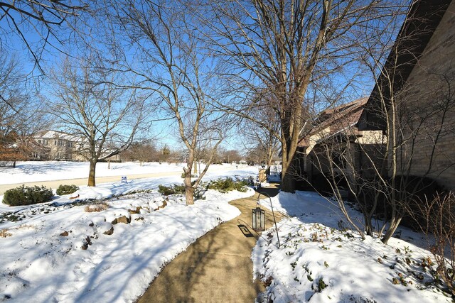 view of yard layered in snow