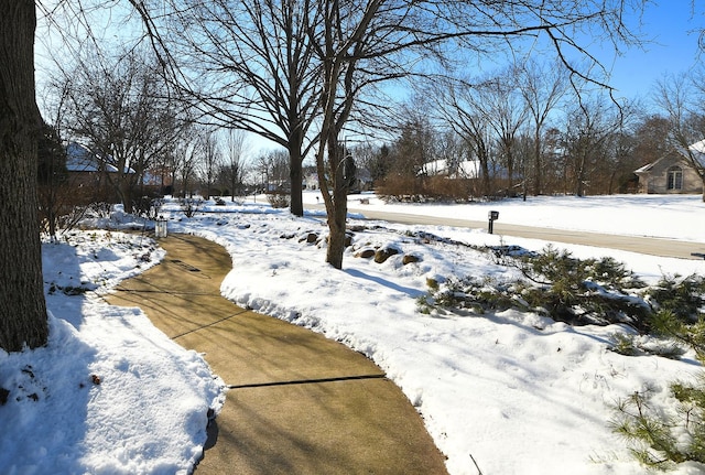 view of snowy yard