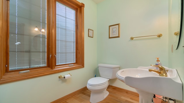 bathroom featuring sink, wood-type flooring, and toilet