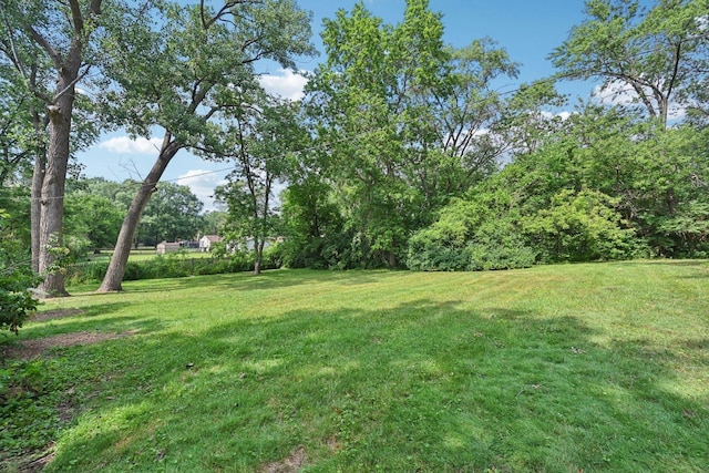 4720 182nd Pl, Country Club Hills, IL 60478 - photo 33