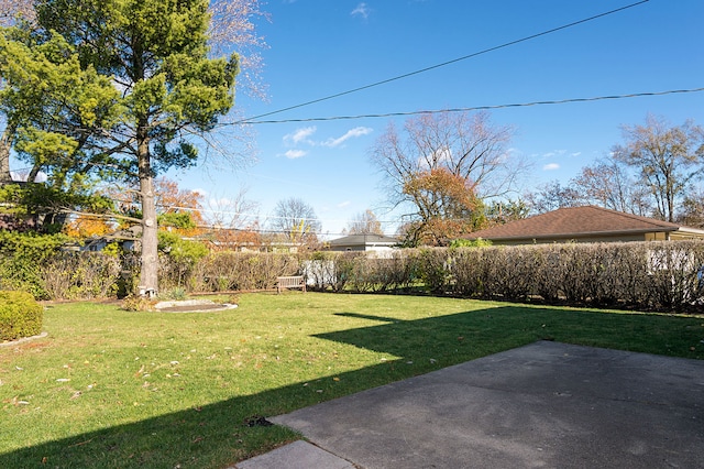 view of yard featuring a patio