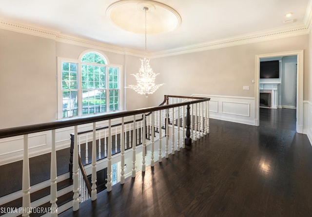 corridor with crown molding, dark wood-type flooring, and a notable chandelier