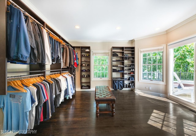 walk in closet with dark hardwood / wood-style floors