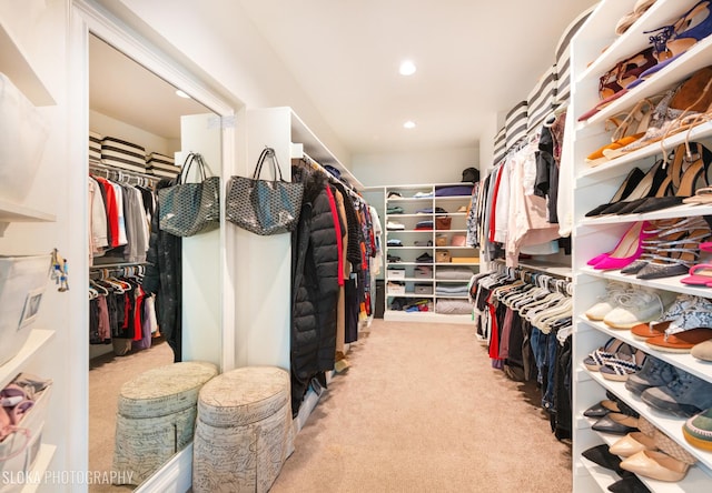 spacious closet featuring light carpet