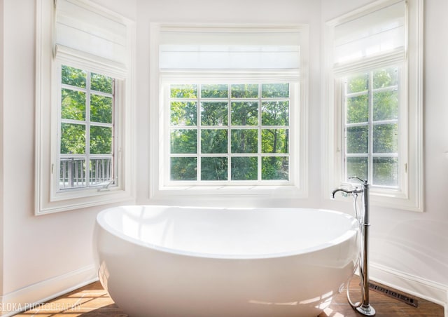 bathroom with a bath and a healthy amount of sunlight