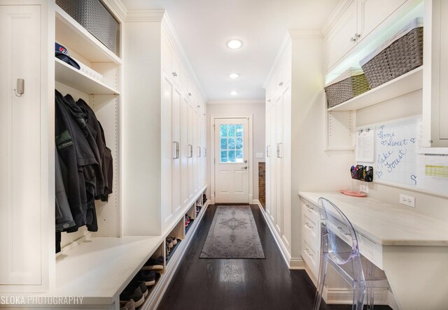 mudroom featuring ornamental molding and dark wood-type flooring