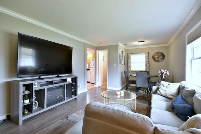 living room featuring wood-type flooring and ornamental molding