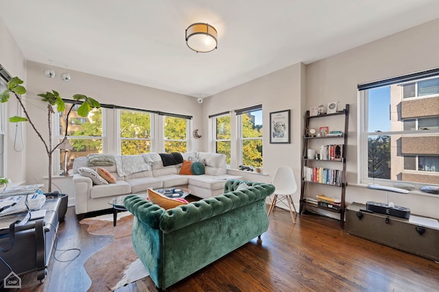 living room featuring dark hardwood / wood-style flooring