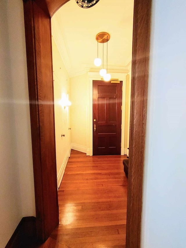 hall featuring ornamental molding and wood-type flooring