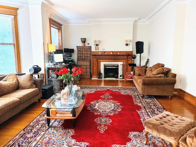 living room with crown molding and wood-type flooring