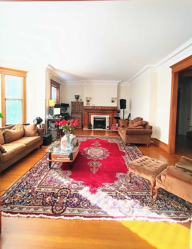 living room featuring hardwood / wood-style floors and crown molding