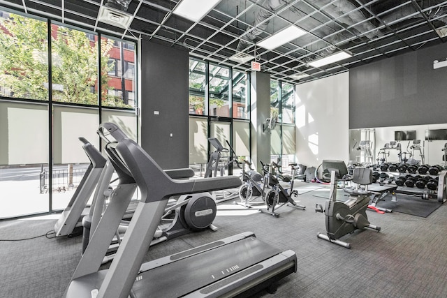 gym with carpet, plenty of natural light, a wall of windows, and a high ceiling