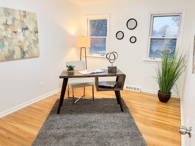 office featuring wood-type flooring