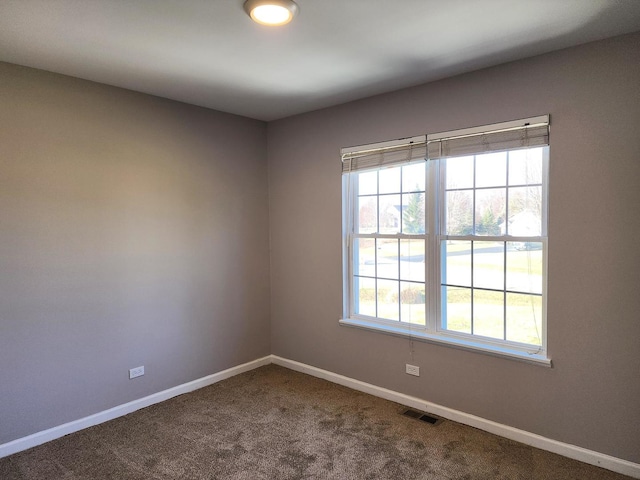 carpeted empty room with a healthy amount of sunlight