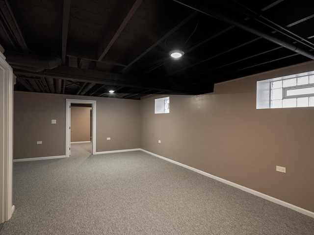 basement featuring carpet