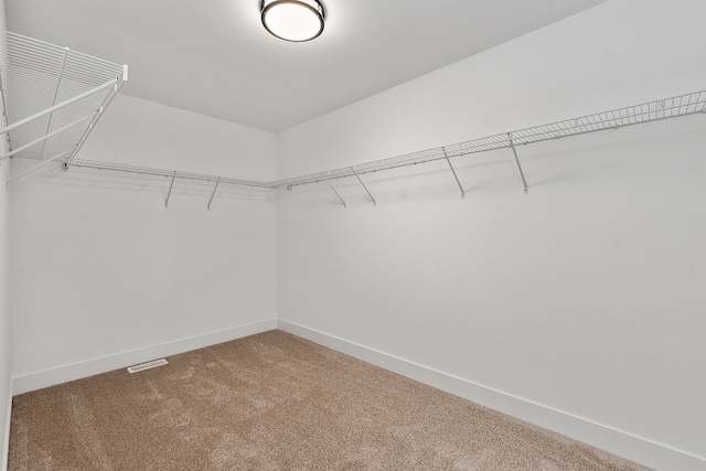 walk in closet with carpet flooring