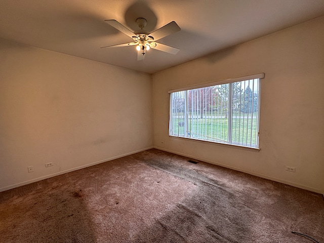 spare room with ceiling fan and carpet floors