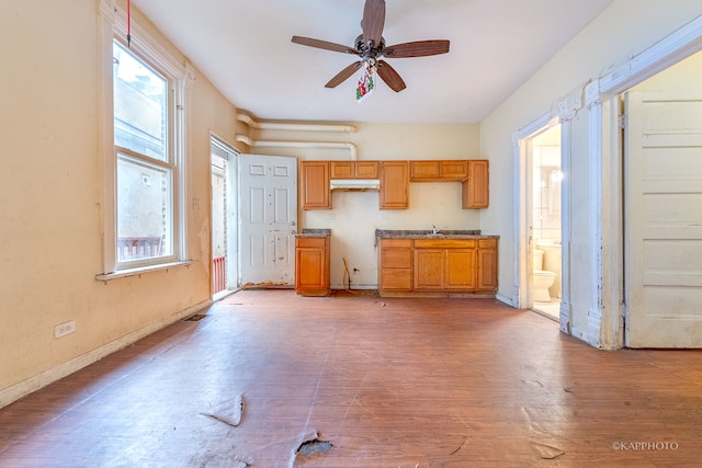 kitchen with ceiling fan, wood-type flooring, sink, and a wealth of natural light