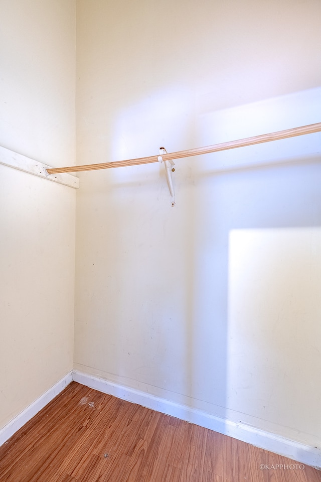 spacious closet with wood-type flooring