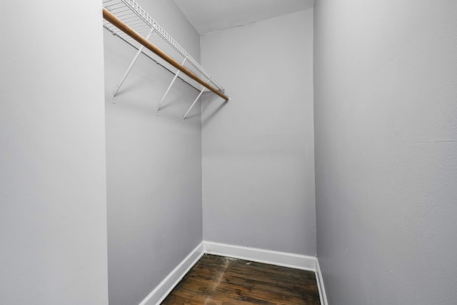 spacious closet featuring dark hardwood / wood-style flooring