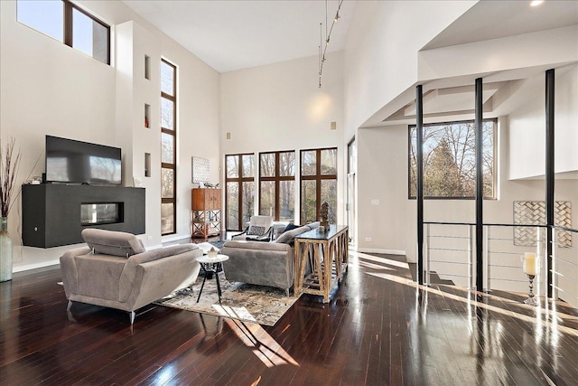 living room with wood-type flooring and a high ceiling