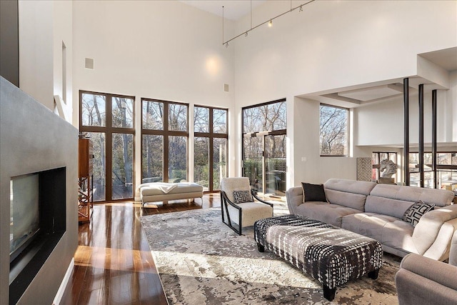 living room featuring wood-type flooring and a towering ceiling