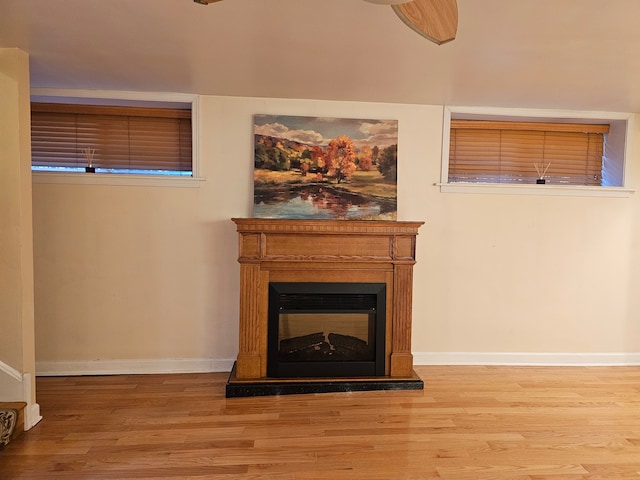 room details with ceiling fan and wood-type flooring