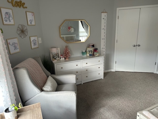 living area with dark colored carpet