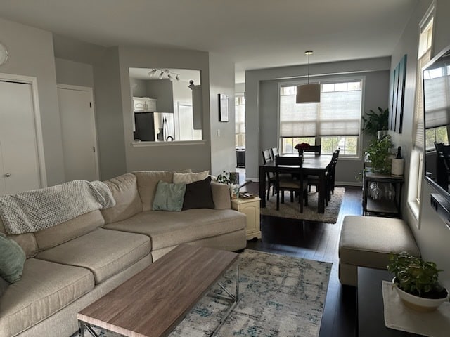 living room with wood-type flooring