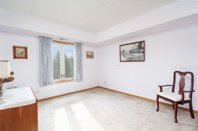 sitting room with light colored carpet and a textured ceiling