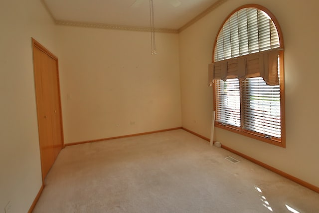 spare room featuring carpet flooring, crown molding, and a towering ceiling