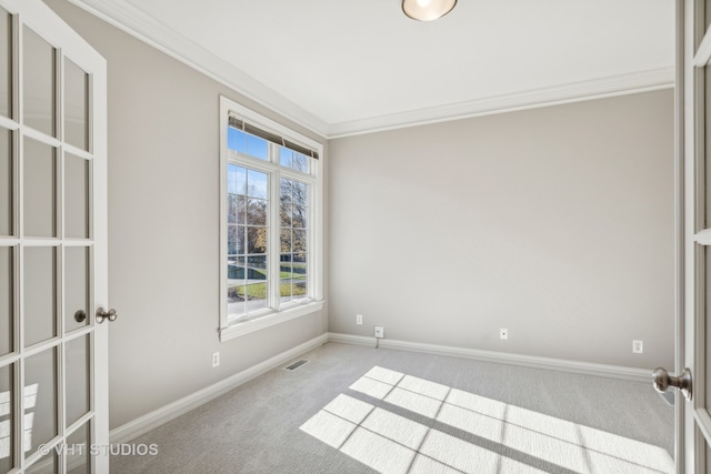 spare room with crown molding and carpet