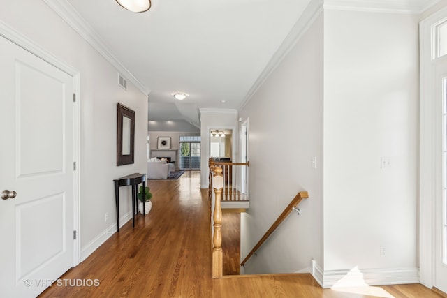 corridor with plenty of natural light, wood-type flooring, and ornamental molding