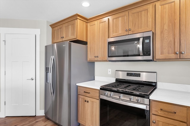 kitchen featuring stainless steel appliances and light hardwood / wood-style floors