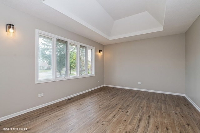 spare room featuring a raised ceiling and hardwood / wood-style floors