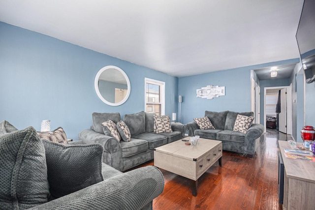 living room featuring dark wood-type flooring