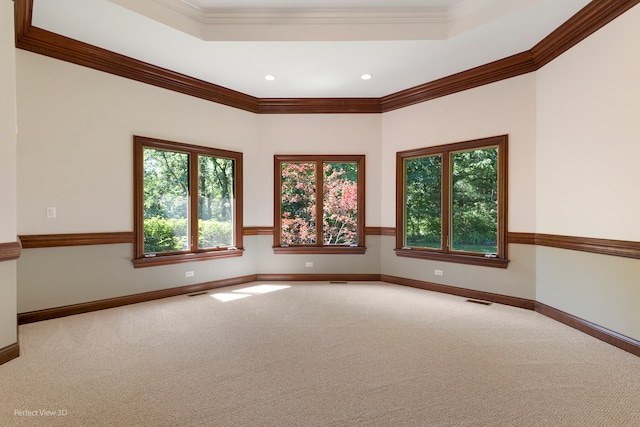 carpeted empty room featuring a raised ceiling, a wealth of natural light, and crown molding