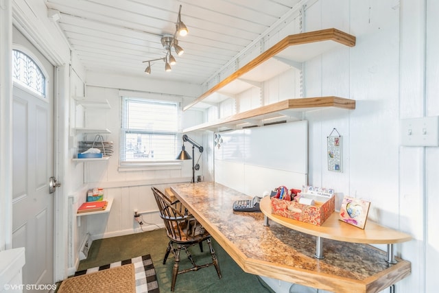 kitchen featuring carpet flooring, a wealth of natural light, and wood walls