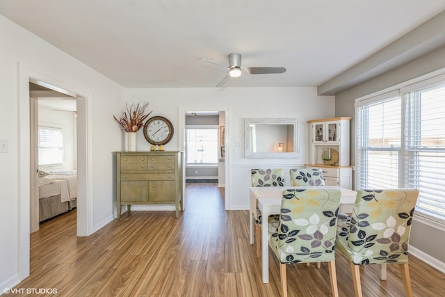 dining room featuring light wood-type flooring, ceiling fan, and a healthy amount of sunlight