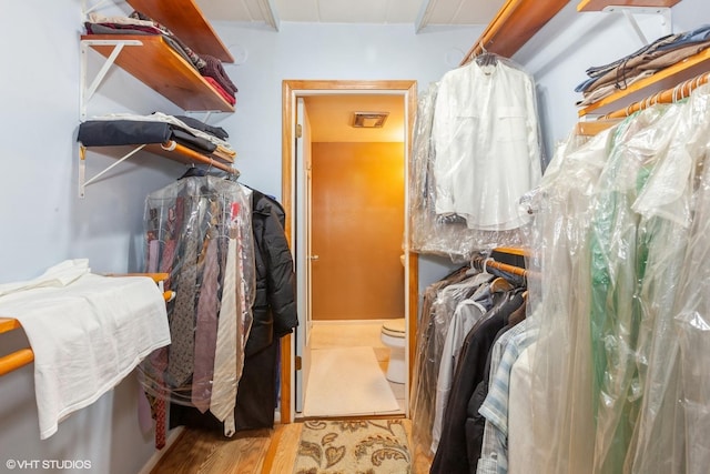 walk in closet featuring wood finished floors