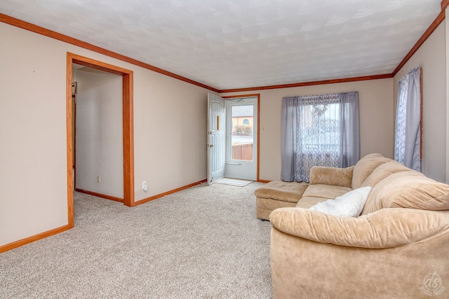 carpeted living room with crown molding and a textured ceiling